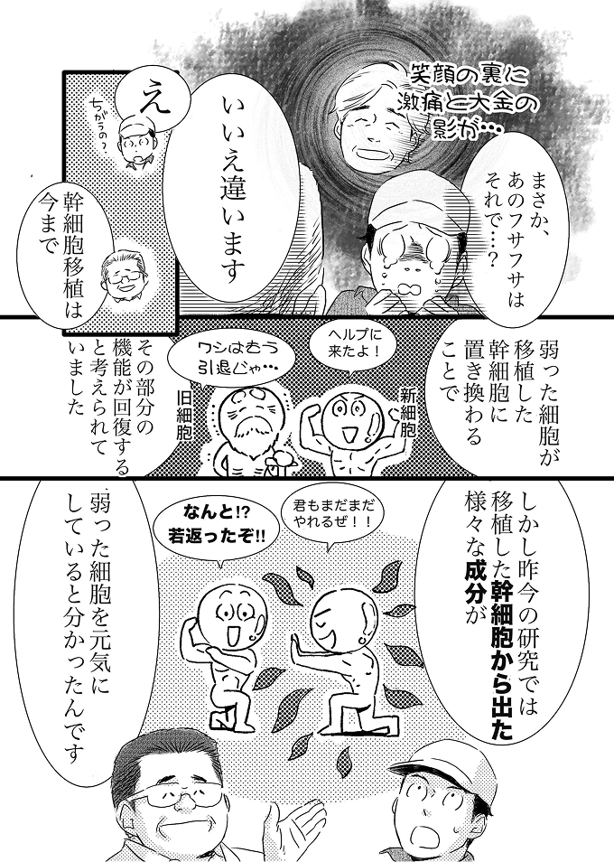 歯髄幹細胞について