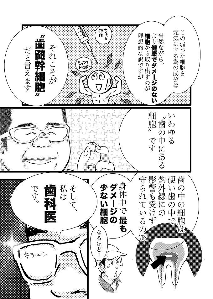 歯髄幹細胞について